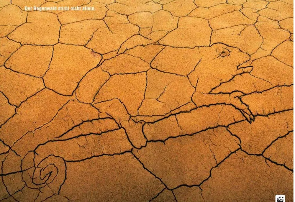 Plakat „Der Regenwald stirbt nicht allein“: ausgetrocknete Erde, deren Risse ein Tier zeichnen